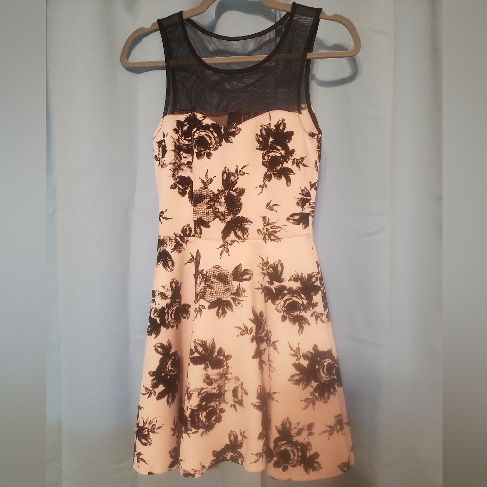 Pink Dress w/Black Velvet Roses